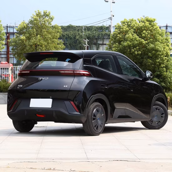 Bon prix Chine Véhicule électrique de montagne Nouvelles voitures Mini voiture Byd EV